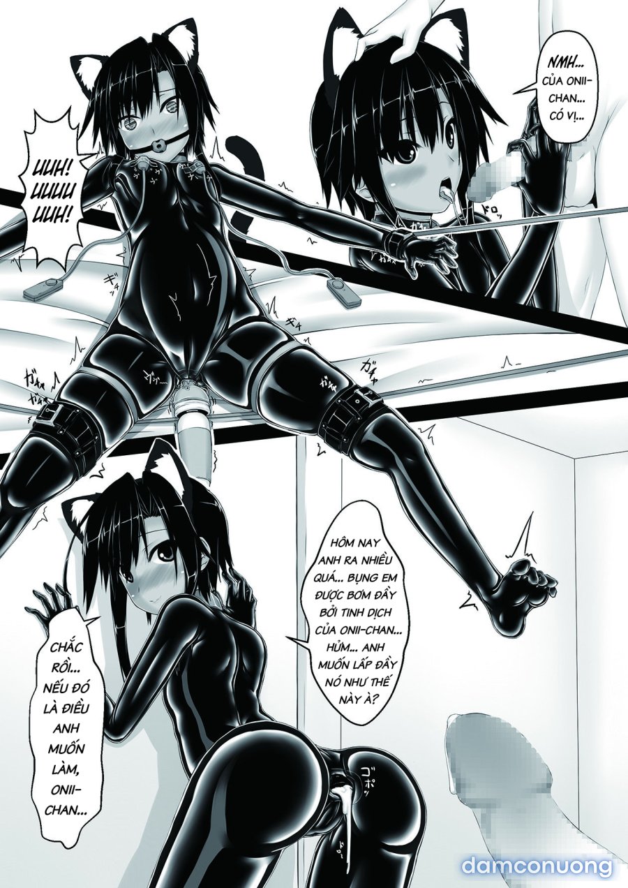 Kuroneko Choco Ice 