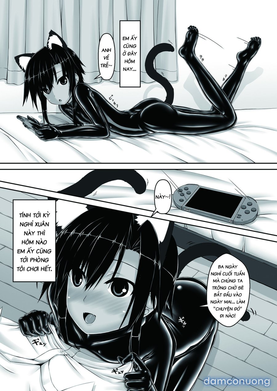 Kuroneko Choco Ice 