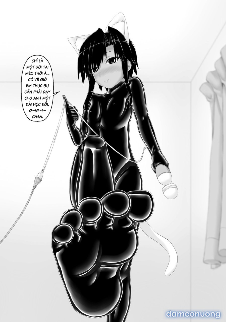 Kuroneko Choco Ice 