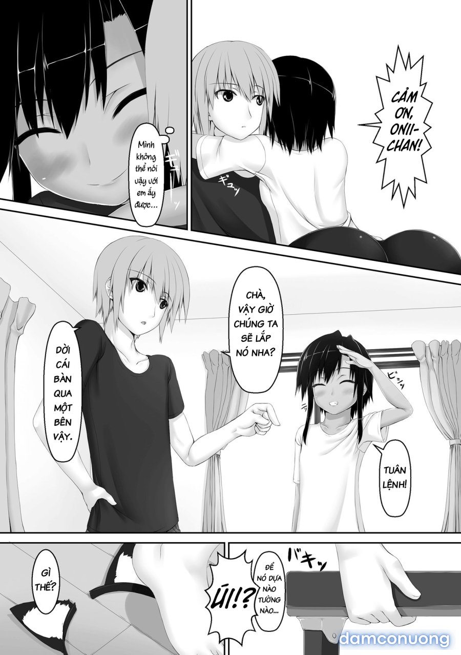 Kuroneko Choco Ice 