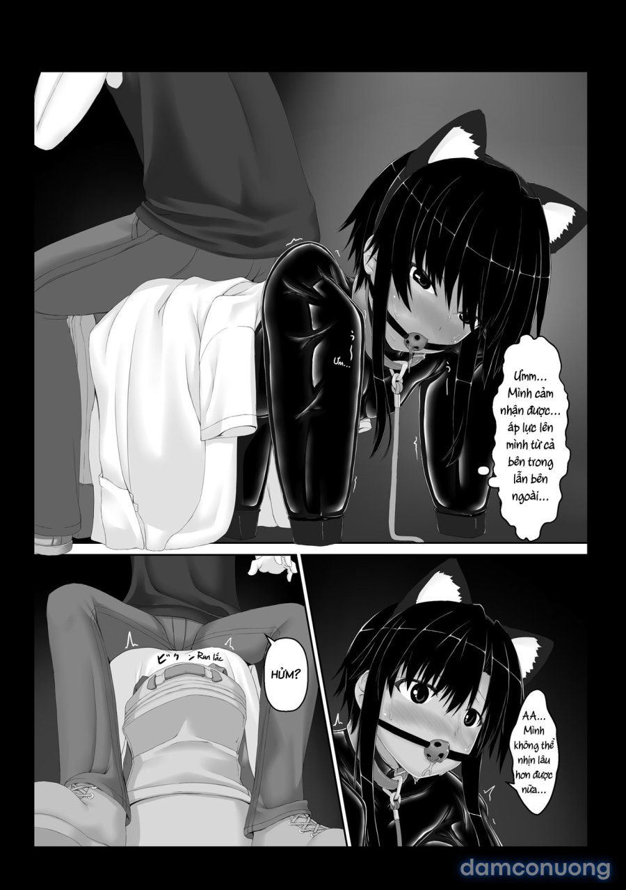Kuroneko Choco Ice 