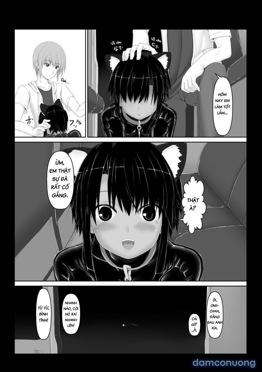 Kuroneko Choco Ice 