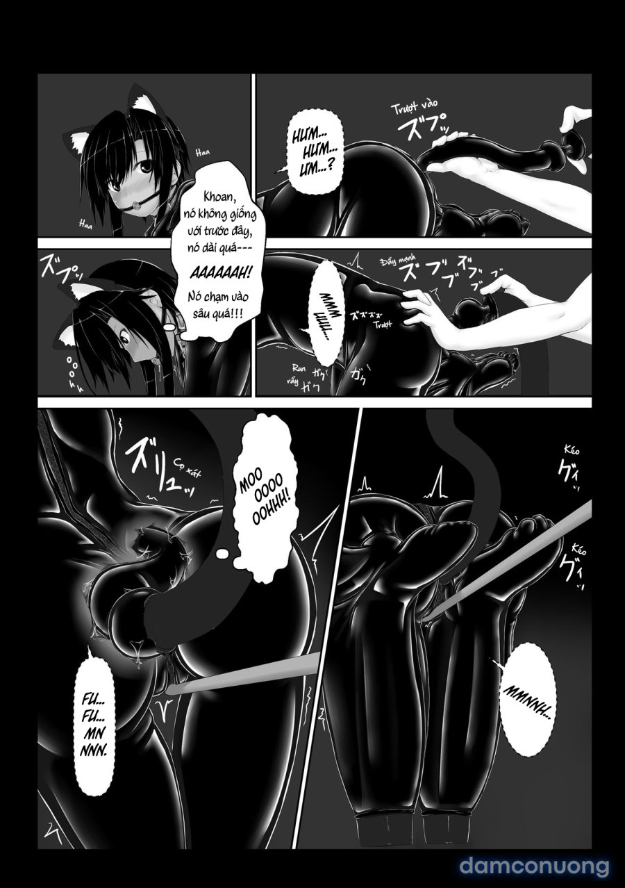 Kuroneko Choco Ice 