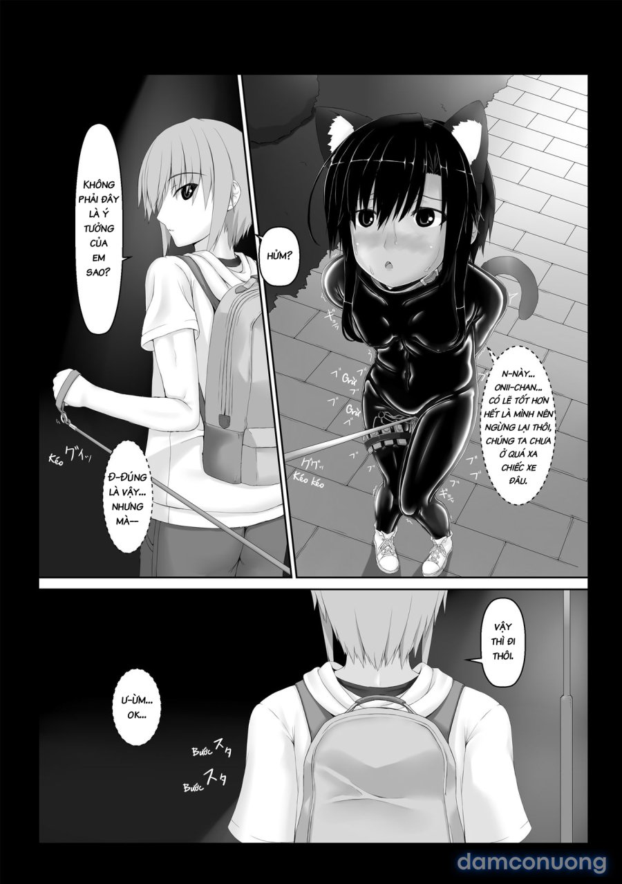 Kuroneko Choco Ice 