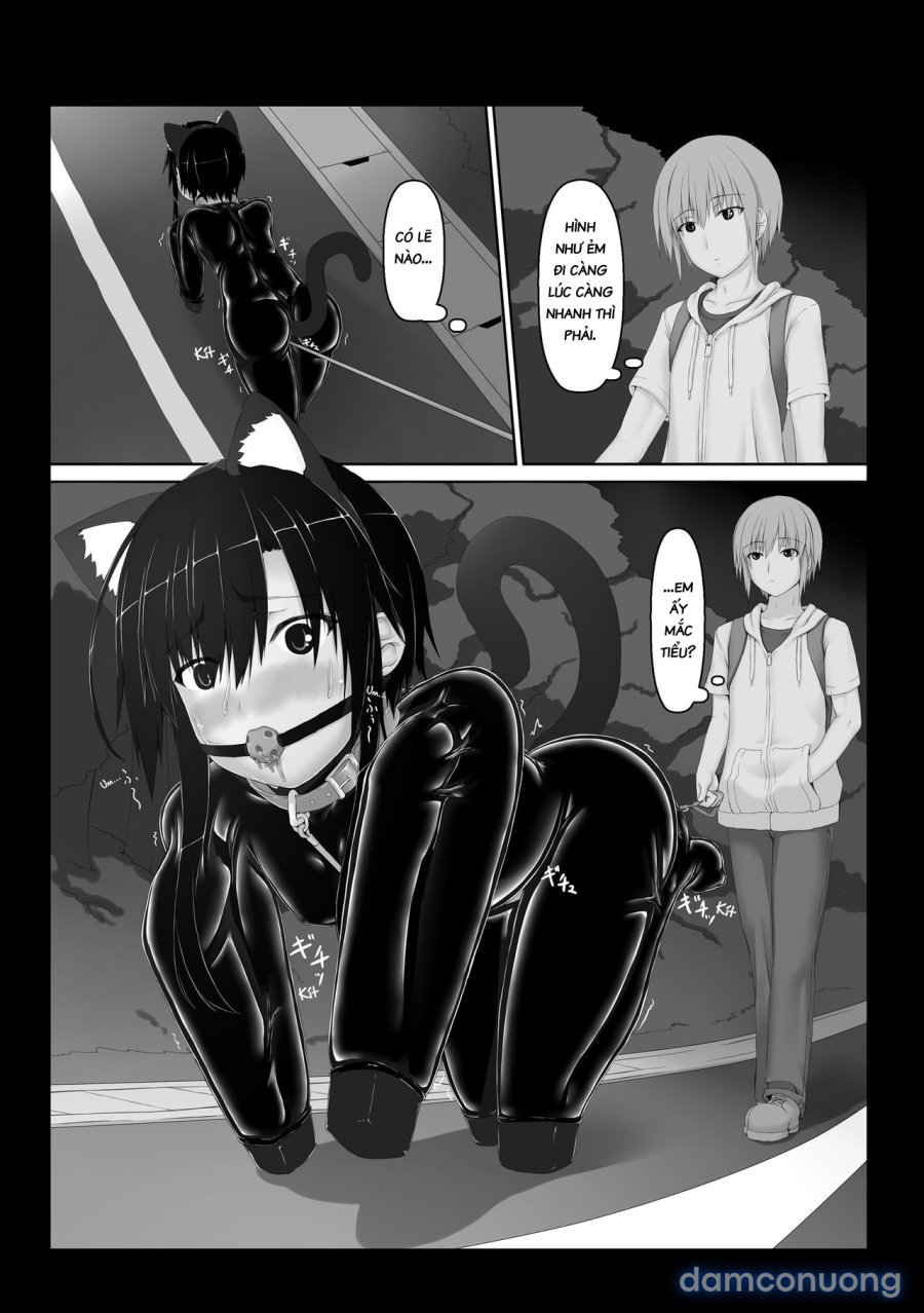 Kuroneko Choco Ice 