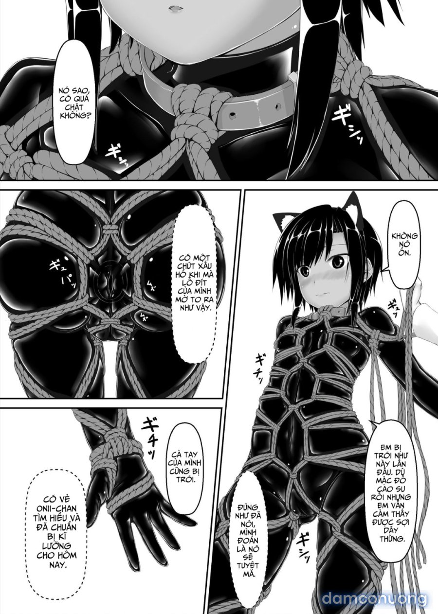 Kuroneko Choco Ice 