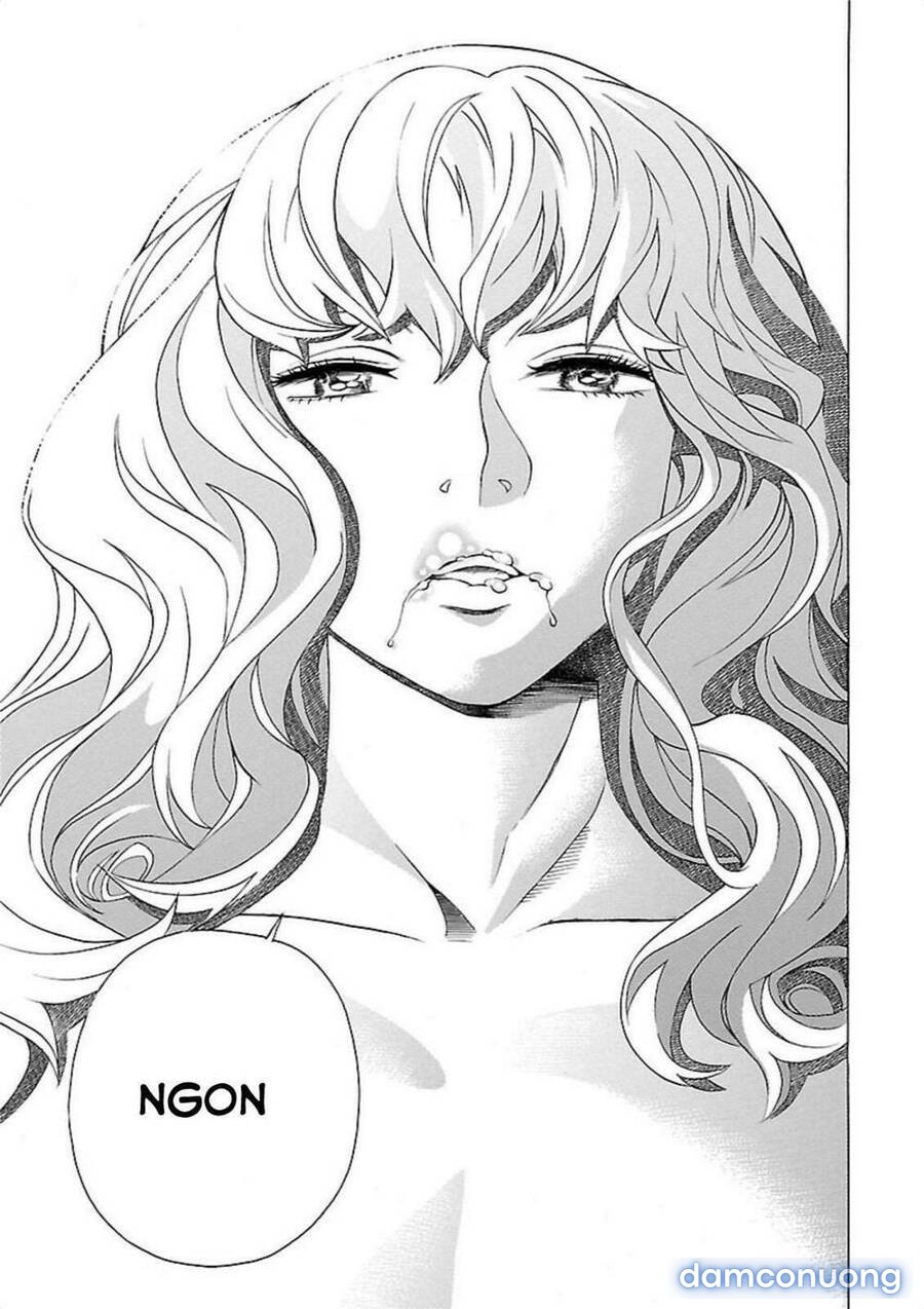 Seigai No Majo 