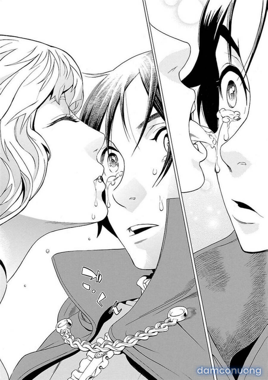 Seigai No Majo 