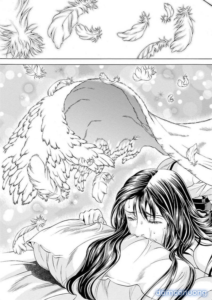 Seigai No Majo 