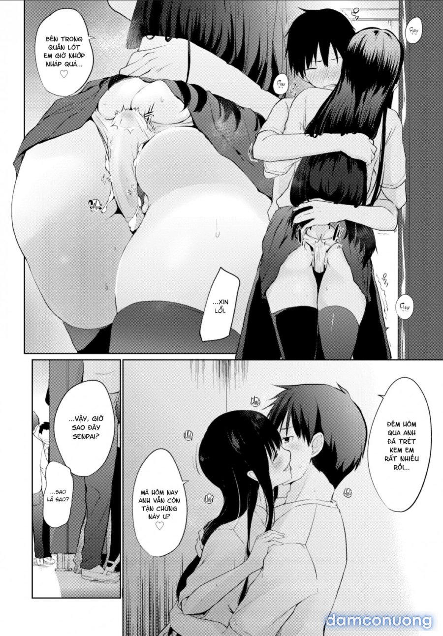 A High School Runaway's Life as a Pet 