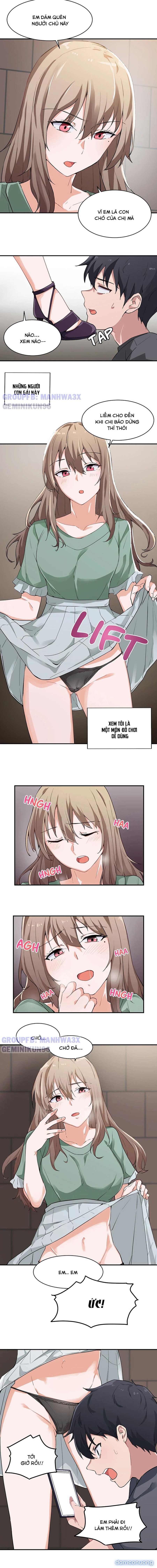 Độc Chiếm Các Em 