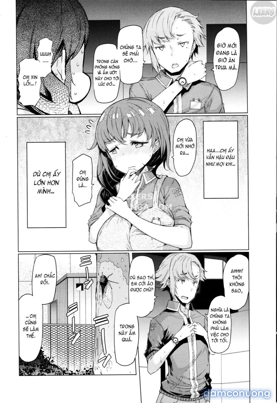 These Housewives Are Too Lewd I Can't Help It! 