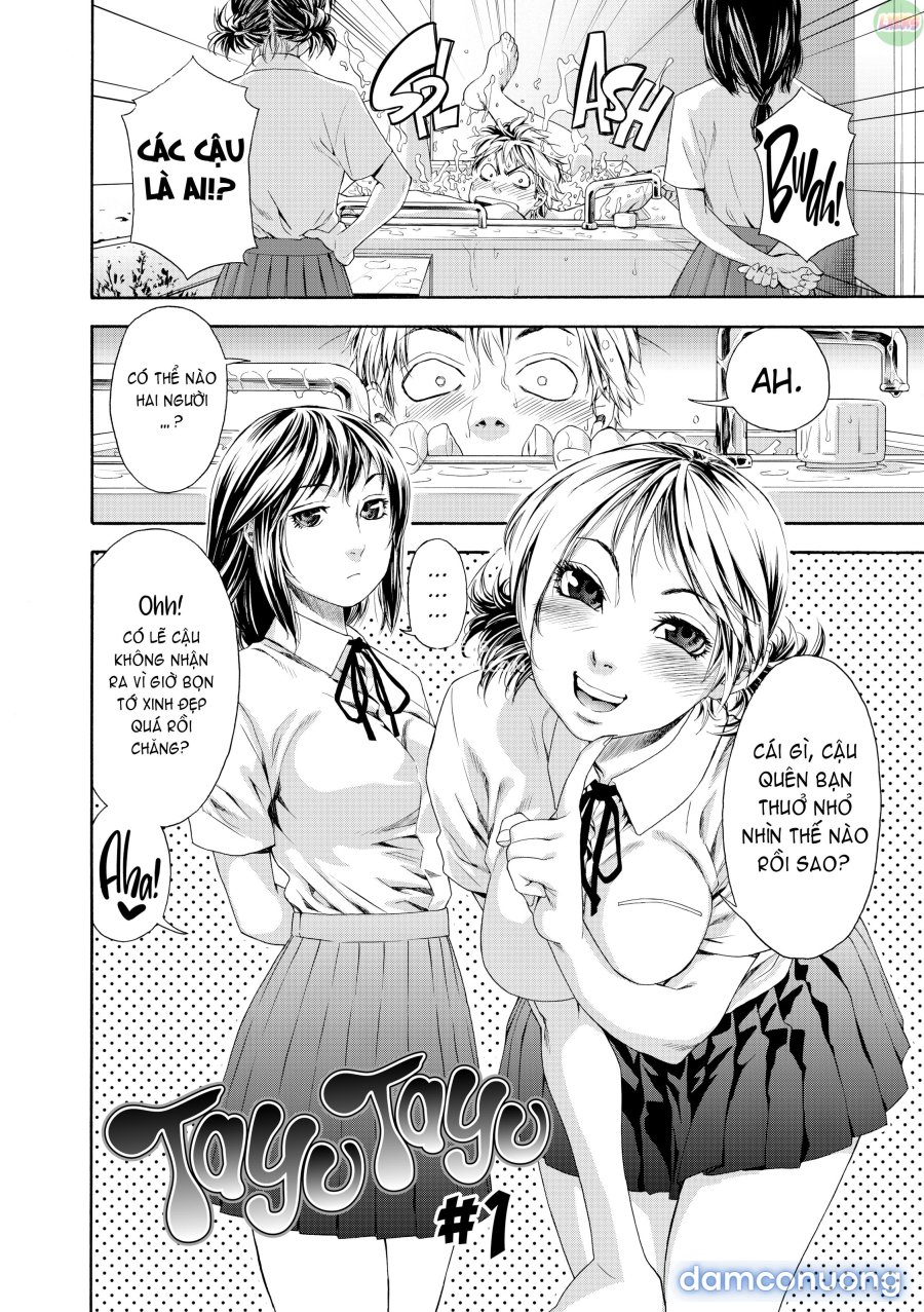 Tayu Tayu 