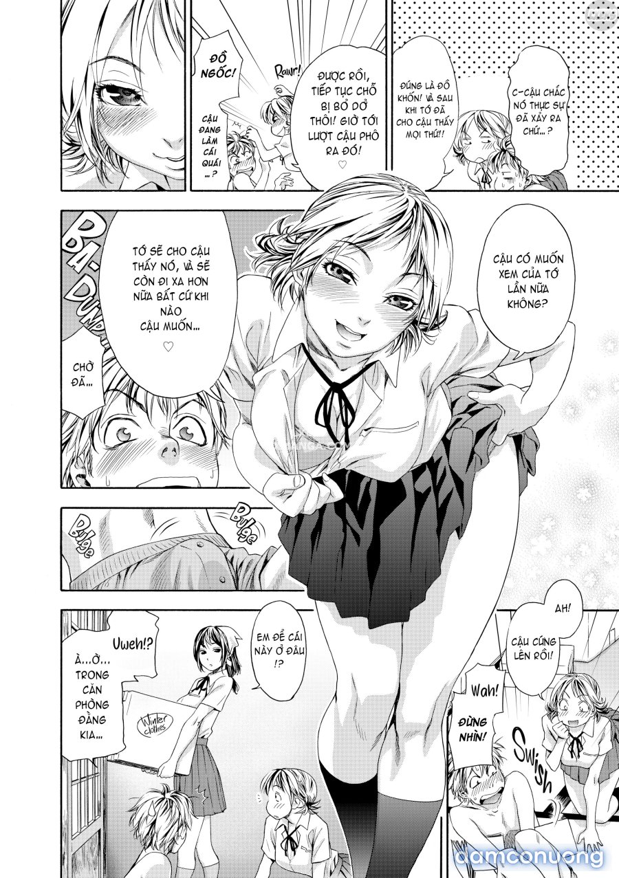 Tayu Tayu 