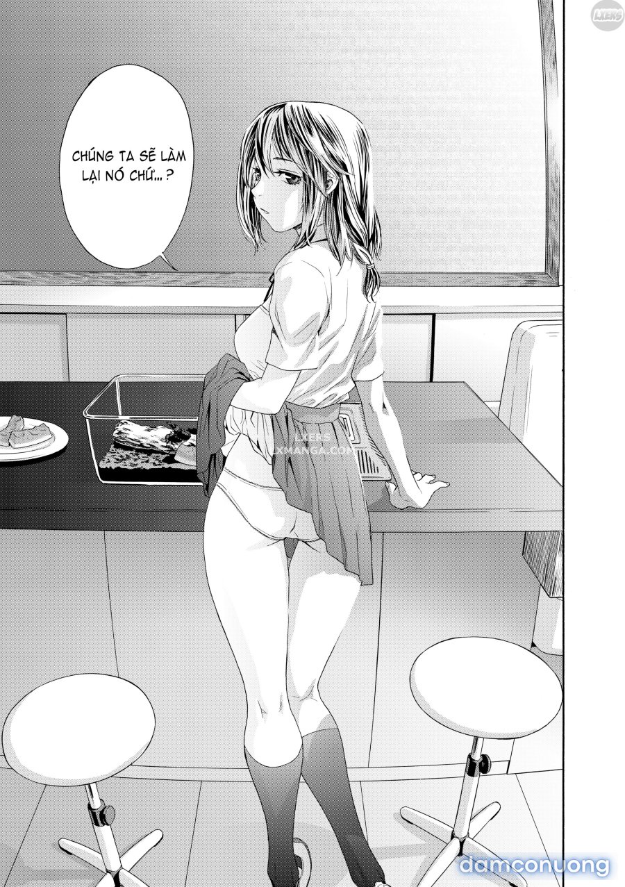Tayu Tayu 