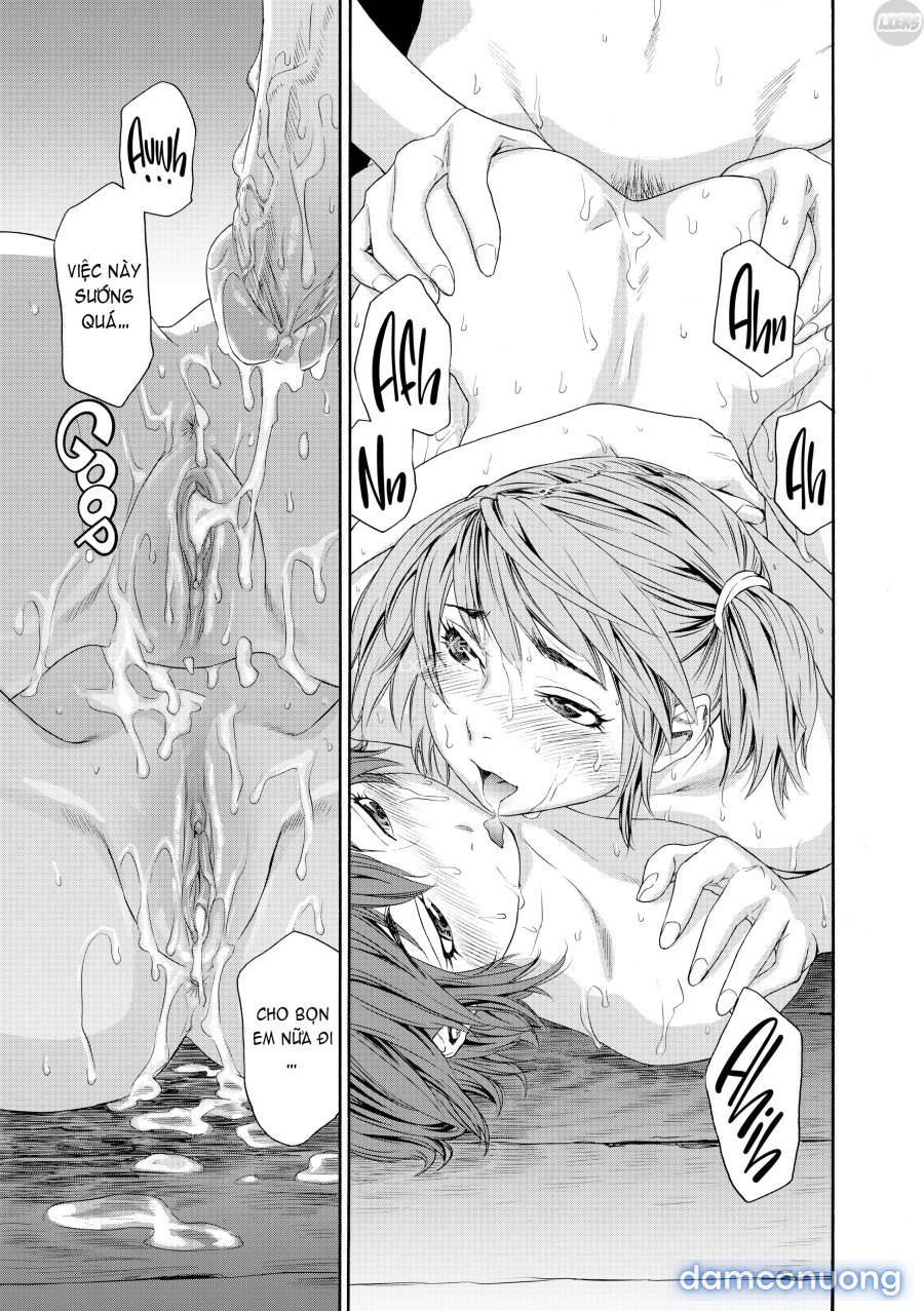 Tayu Tayu 