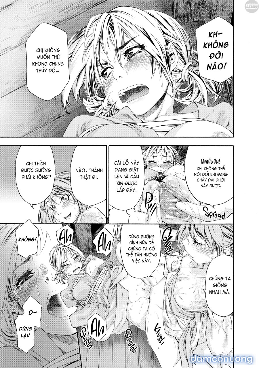Tayu Tayu 