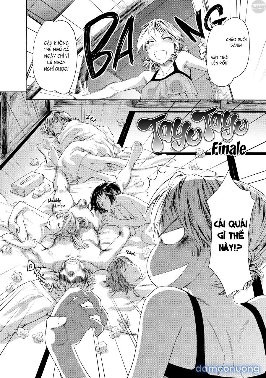 Tayu Tayu 