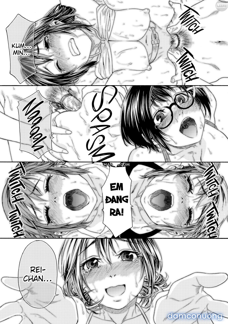 Tayu Tayu 