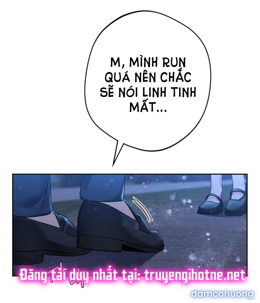 Không Phải Tình Bạn 
