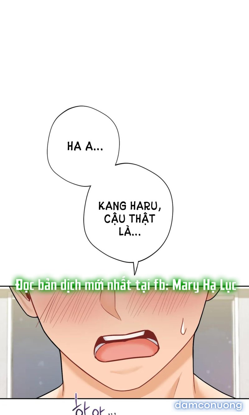 Không Phải Tình Bạn 