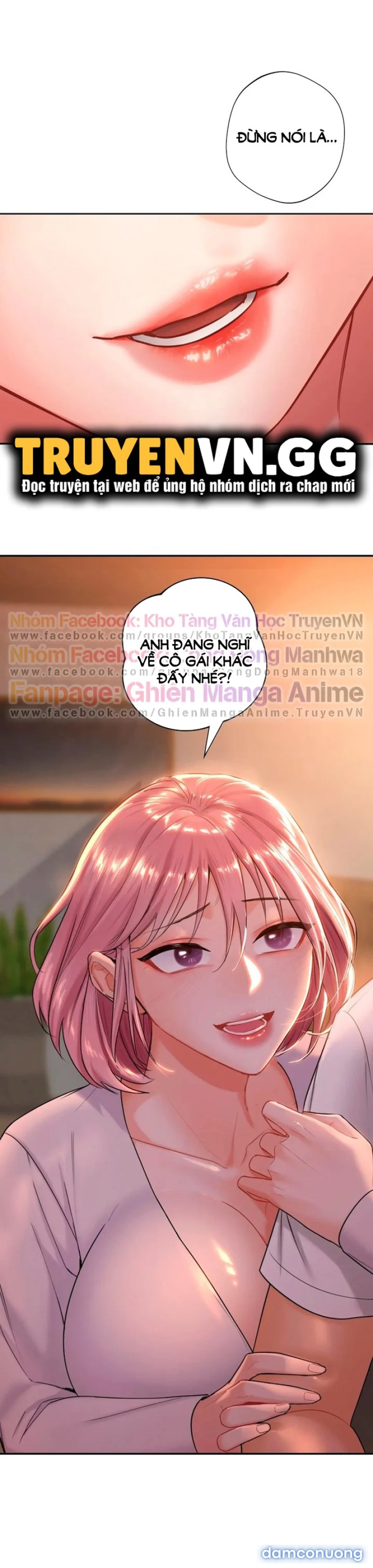 Không Phải Tình Bạn 