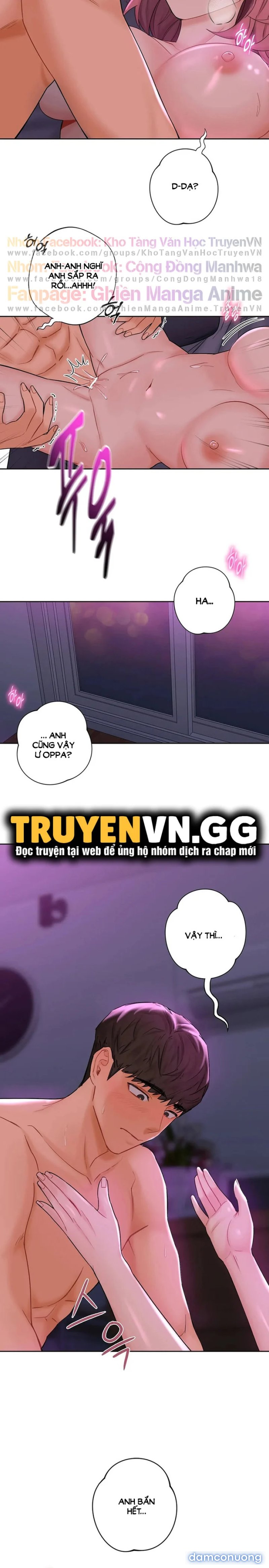 Không Phải Tình Bạn 