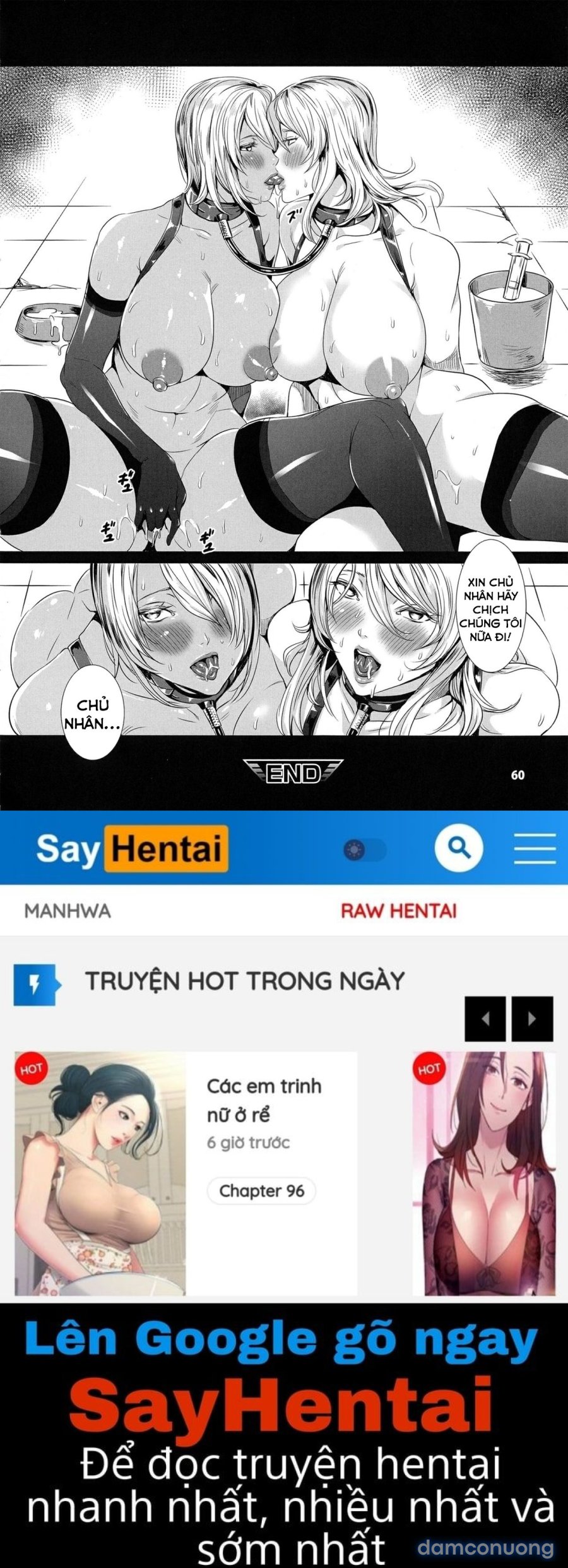 U.S. Cressia Insult Brain Connect 