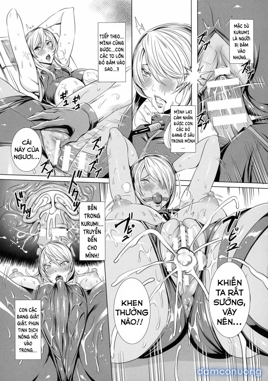 U.S. Cressia Insult Brain Connect 