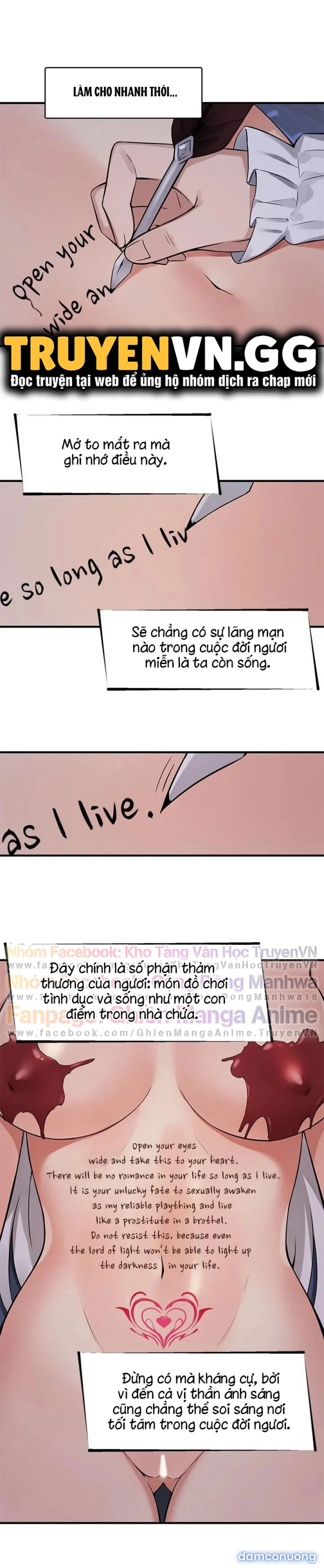 Nàng Elf Thích Bạo Dâm 