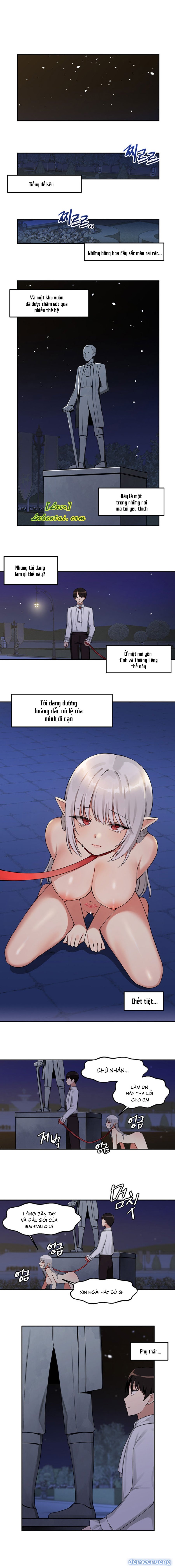 Nàng Elf Thích Bạo Dâm 