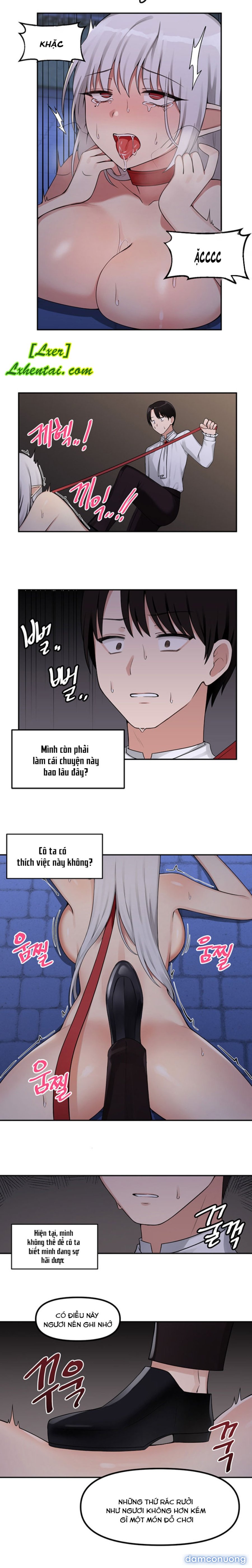 Nàng Elf Thích Bạo Dâm 