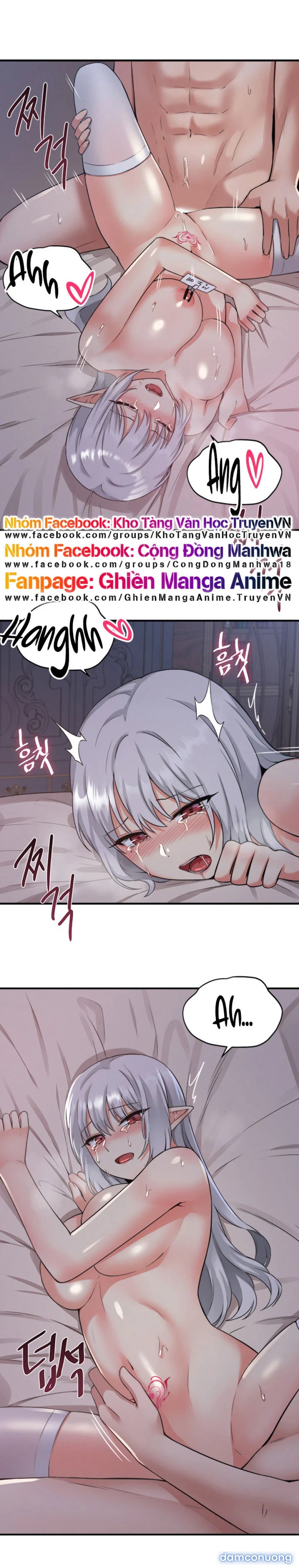 Nàng Elf Thích Bạo Dâm 