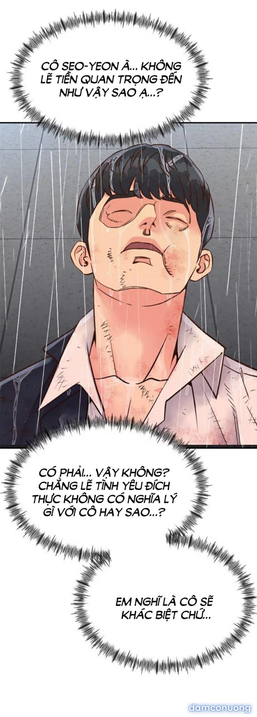 Quý Cô Của Tôi 