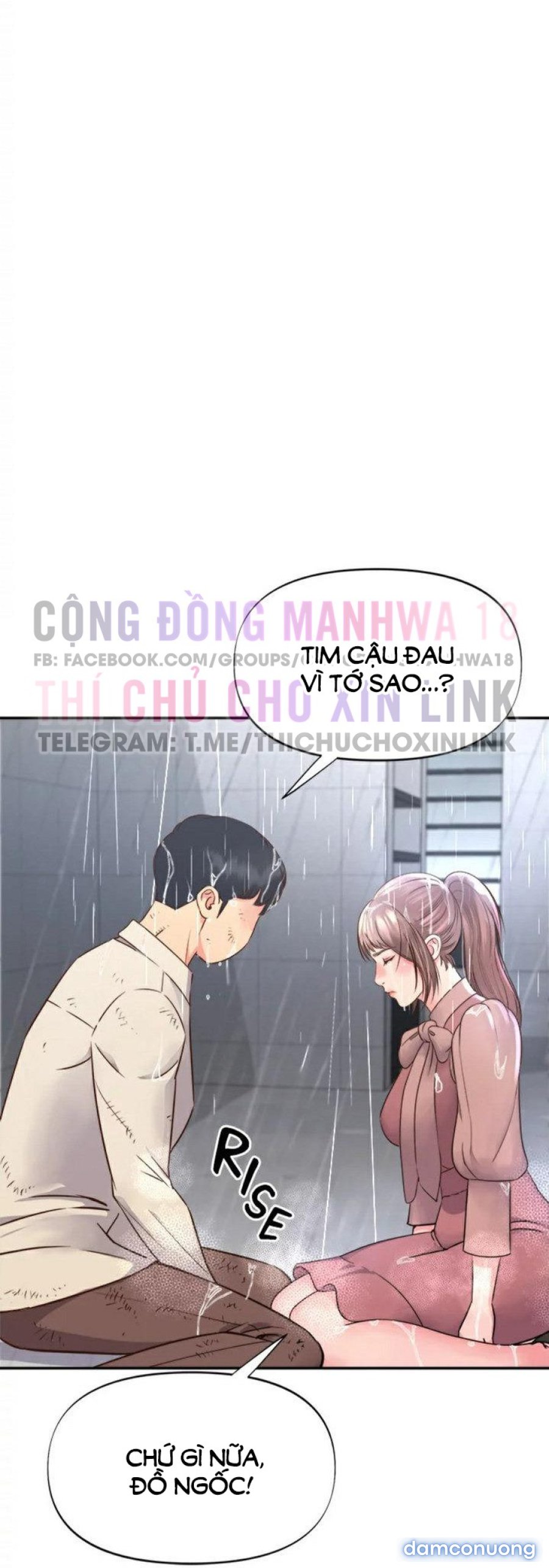 Quý Cô Của Tôi 