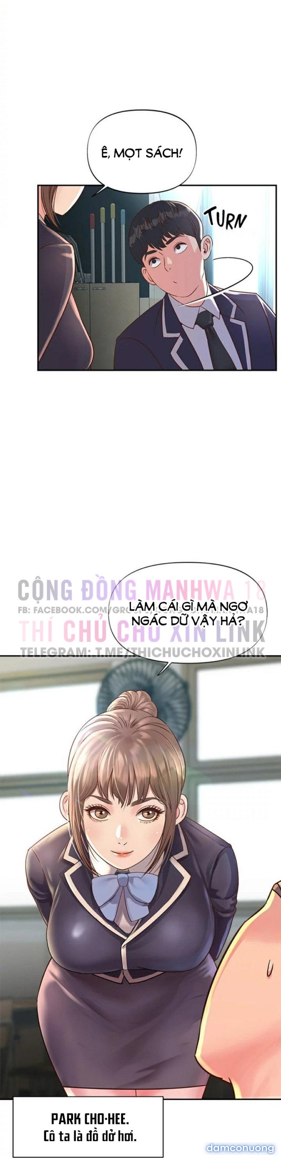 Quý Cô Của Tôi 