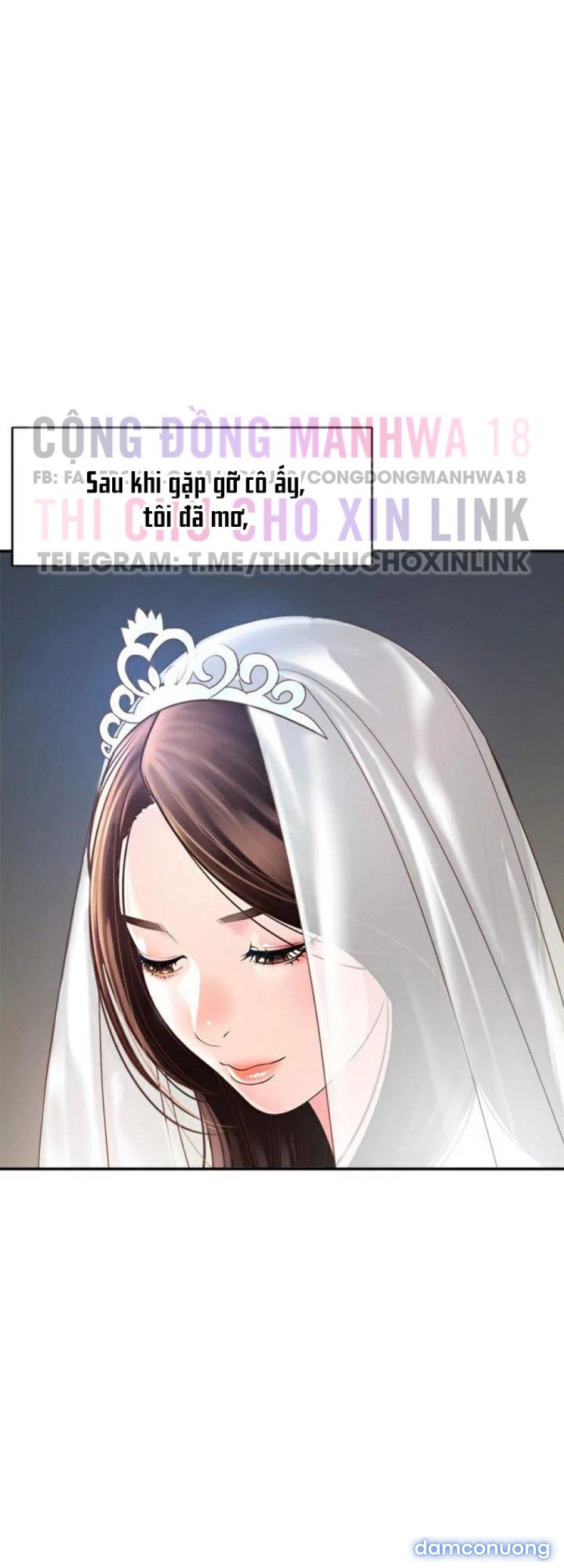 Quý Cô Của Tôi 