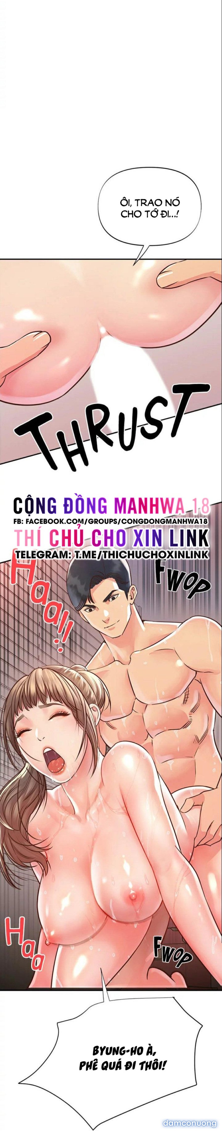 Quý Cô Của Tôi 