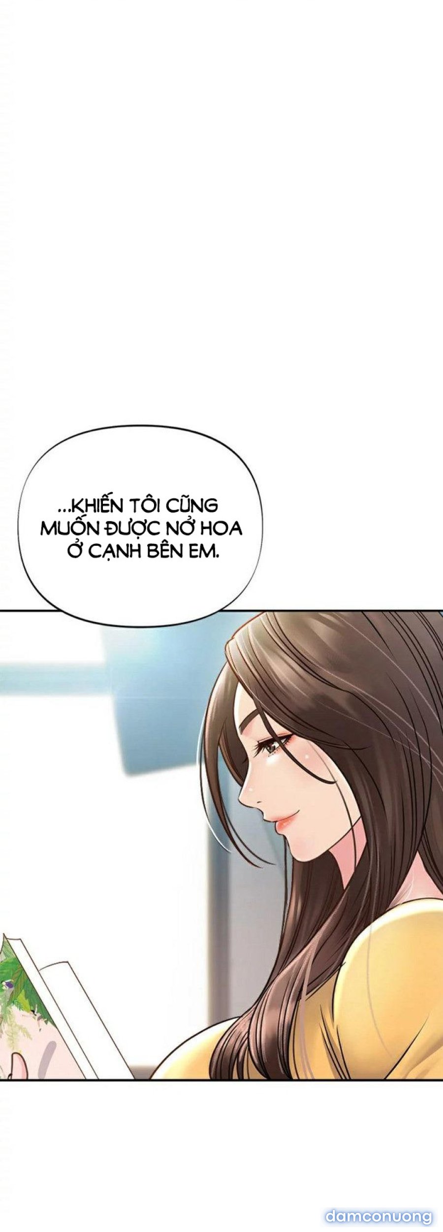 Quý Cô Của Tôi 