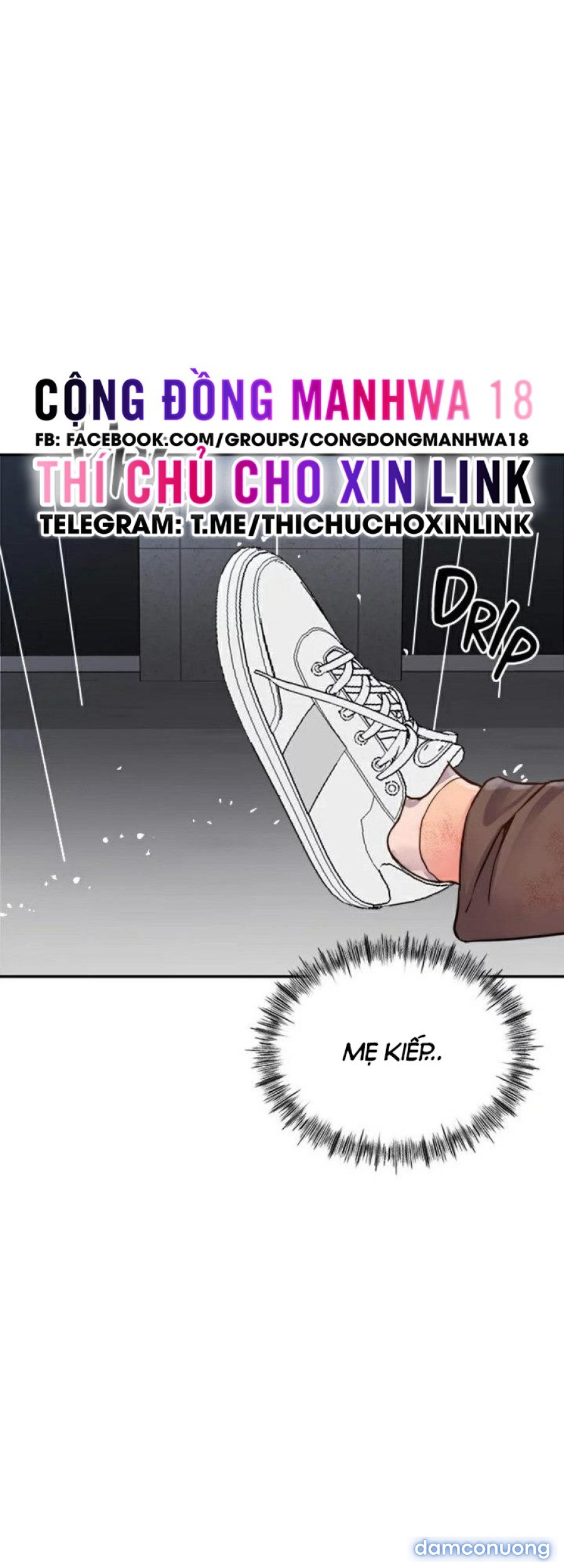 Quý Cô Của Tôi 