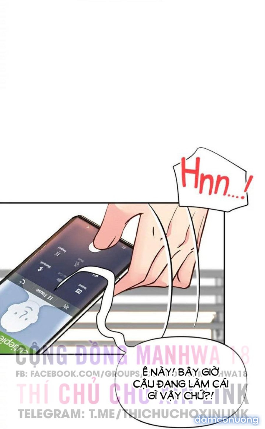 Quý Cô Của Tôi 