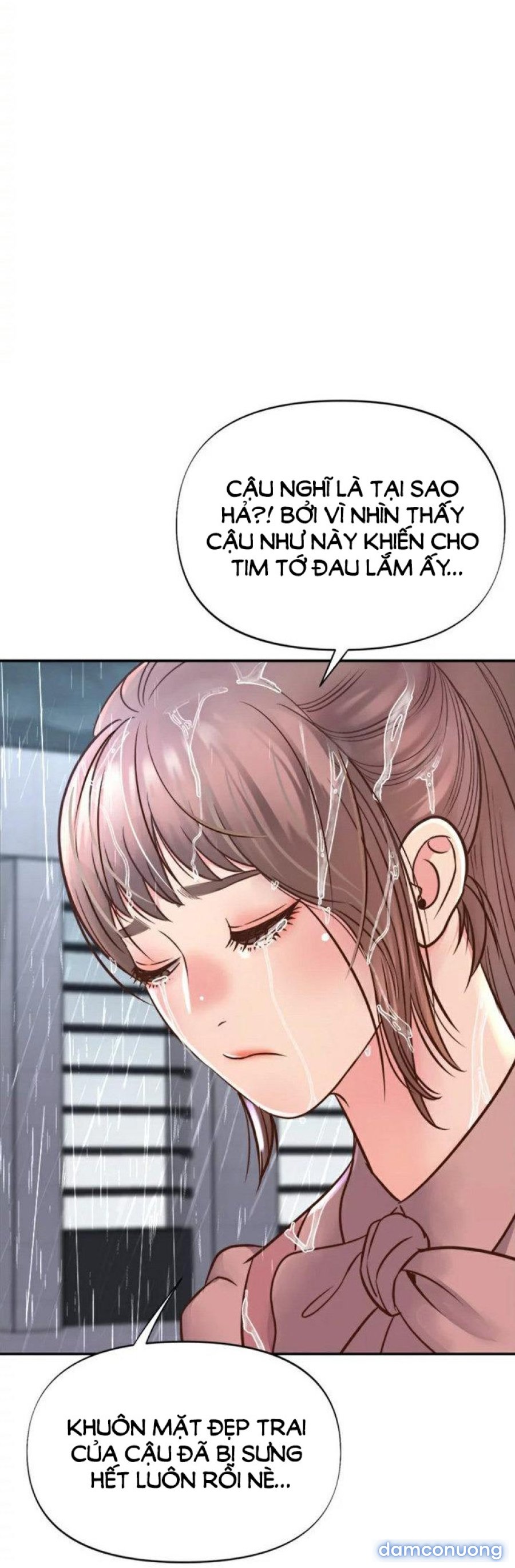 Quý Cô Của Tôi 