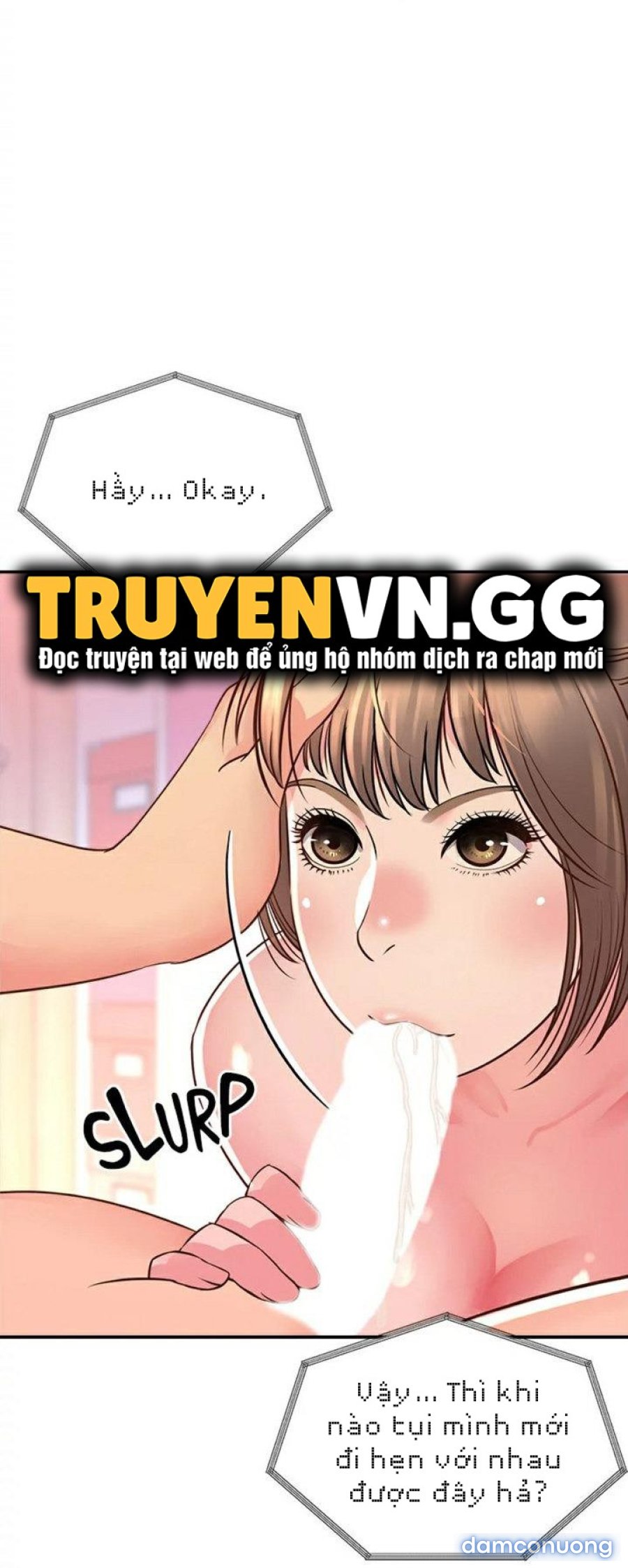 Quý Cô Của Tôi 