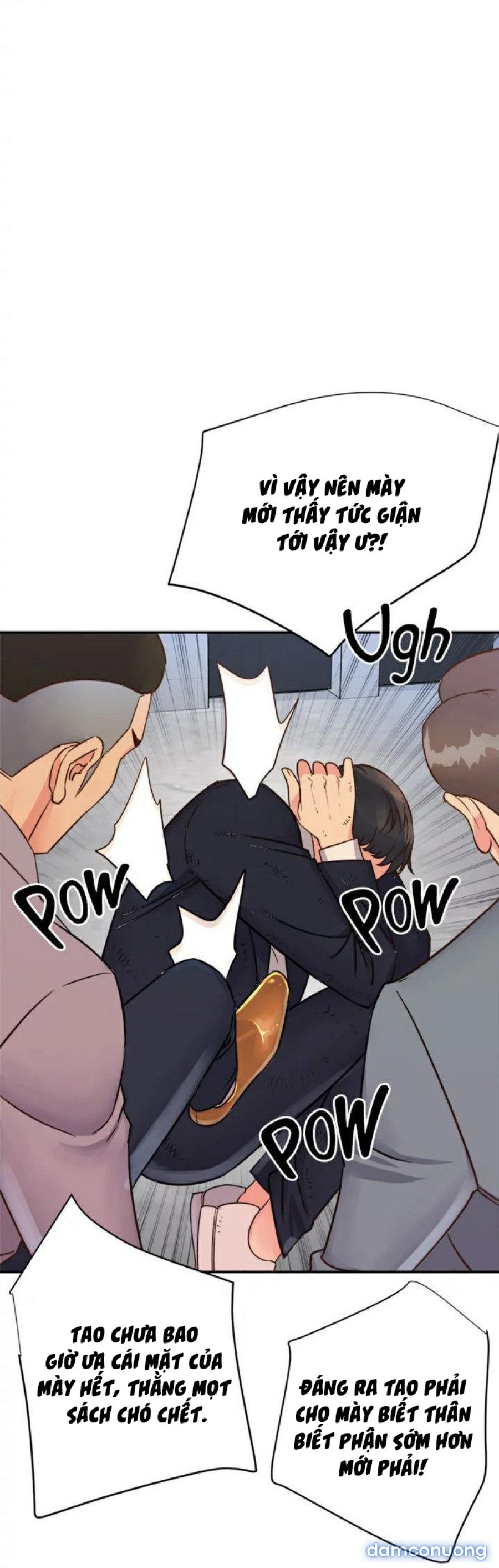 Quý Cô Của Tôi 