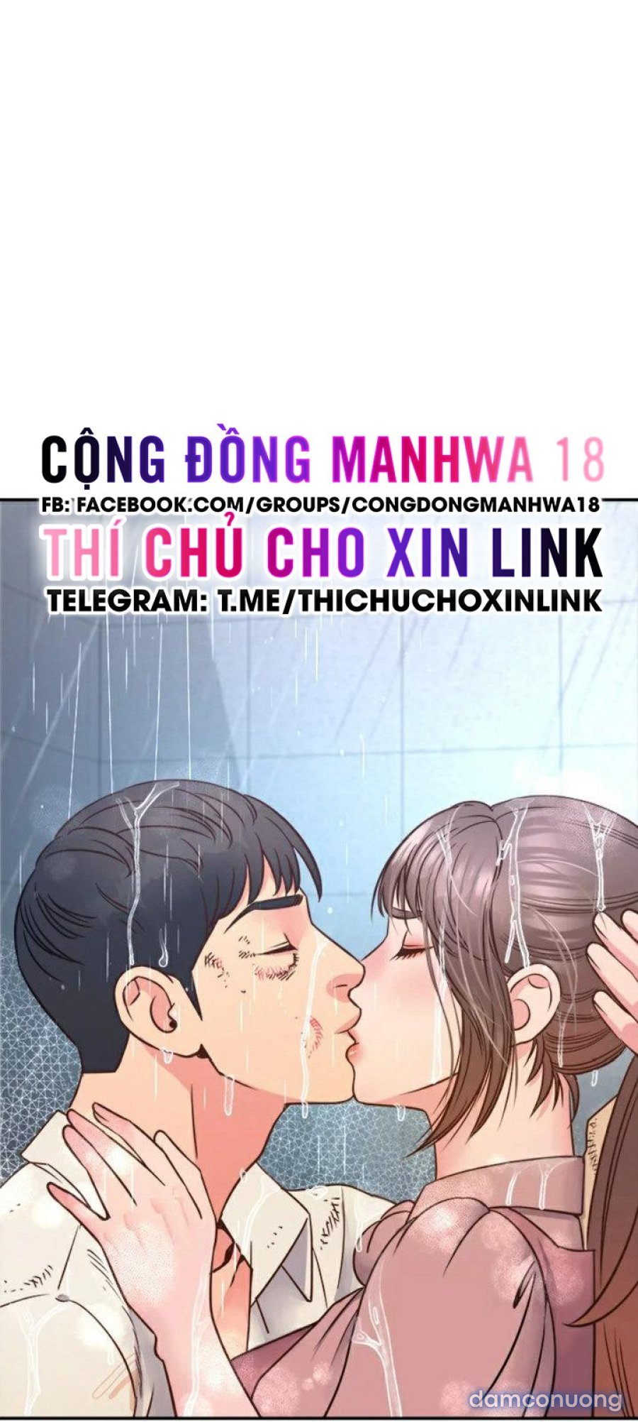 Quý Cô Của Tôi 