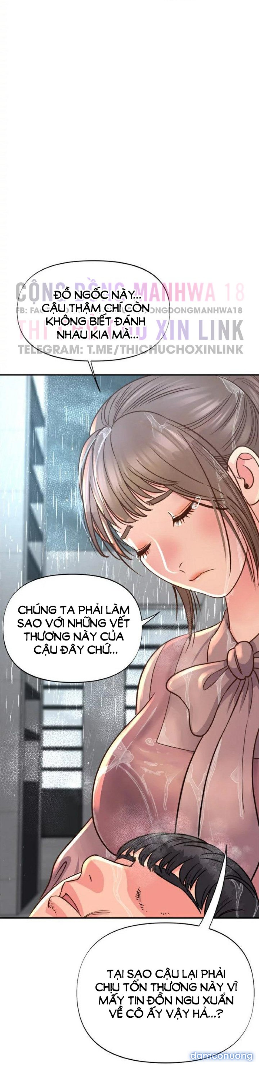 Quý Cô Của Tôi 