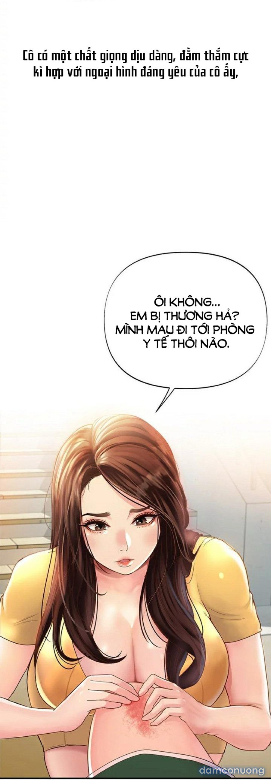 Quý Cô Của Tôi 