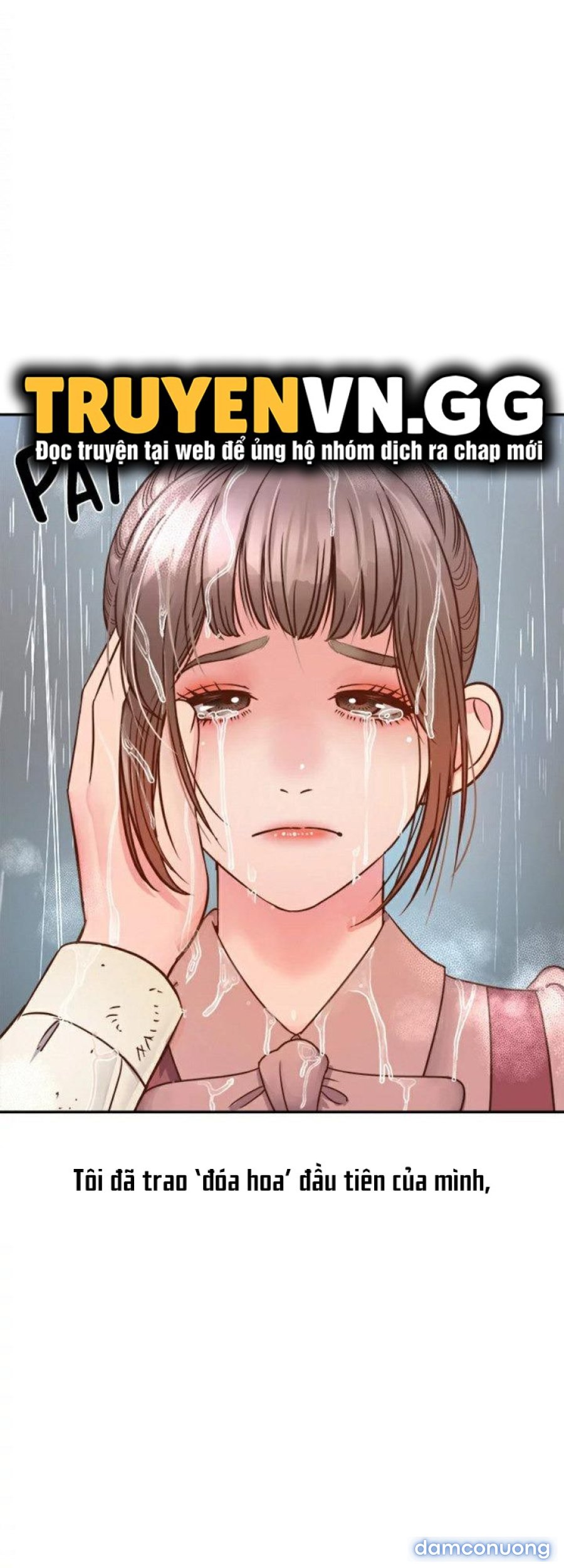 Quý Cô Của Tôi 