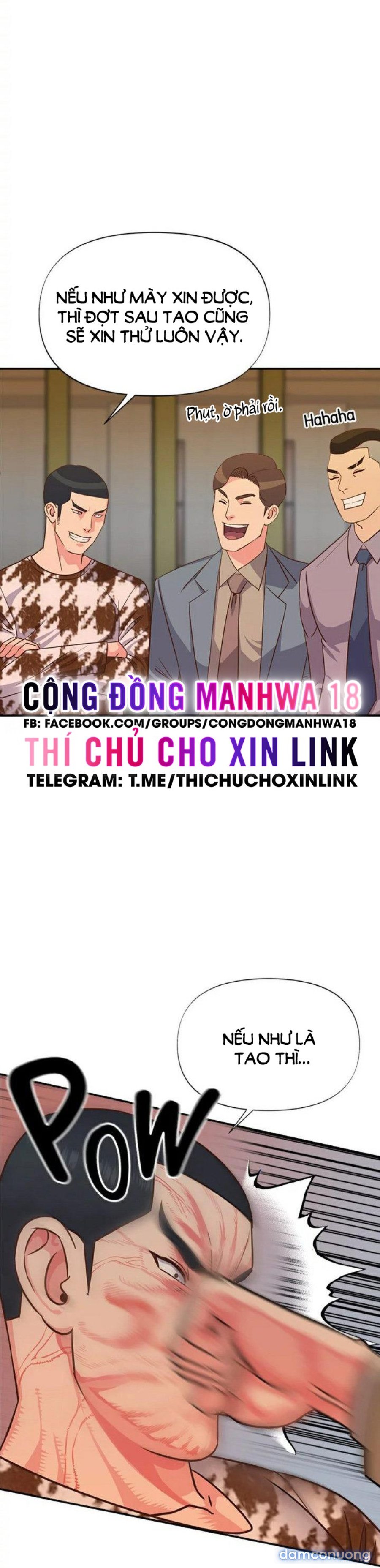 Quý Cô Của Tôi 