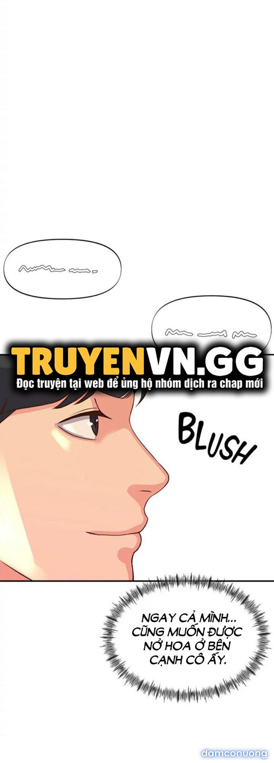 Quý Cô Của Tôi 